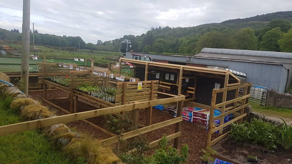 Saddell Nurseries